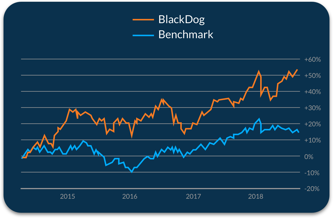 Model Portfolios that use big data and ai